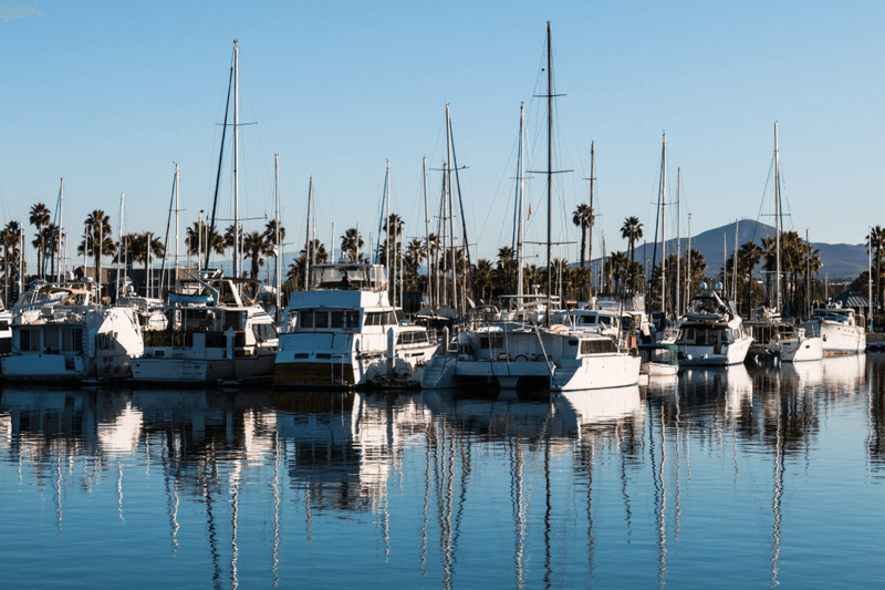 Chula Vista marina in one of the best areas to live in San Diego, featuring sailboats, palm trees, and waterfront views